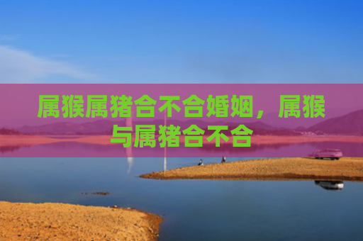 属猴属猪合不合婚姻，属猴与属猪合不合