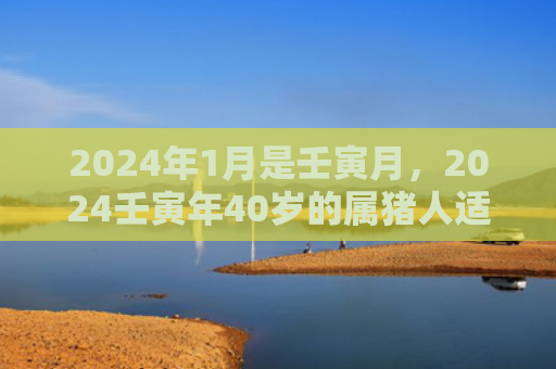 2024年1月是壬寅月，2024壬寅年40岁的属猪人适合换工作吗