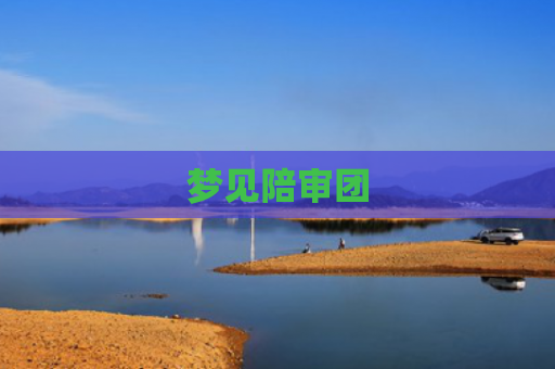 梦见陪审团