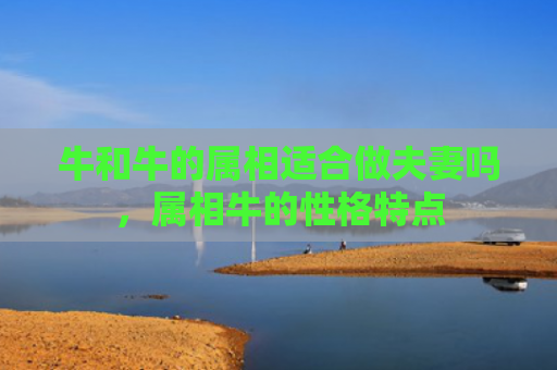 牛和牛的属相适合做夫妻吗，属相牛的性格特点