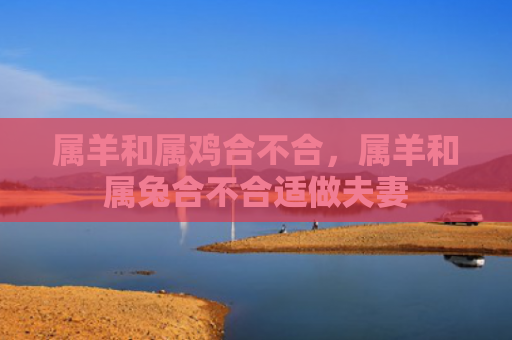 属羊和属鸡合不合，属羊和属兔合不合适做夫妻