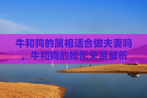 牛和狗的属相适合做夫妻吗，牛和狗的婚配关系解析