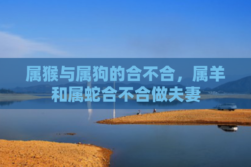属猴与属狗的合不合，属羊和属蛇合不合做夫妻
