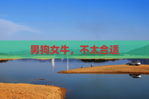 男狗女牛，不太合适