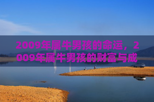 2009年属牛男孩的命运，2009年属牛男孩的财富与成功之路