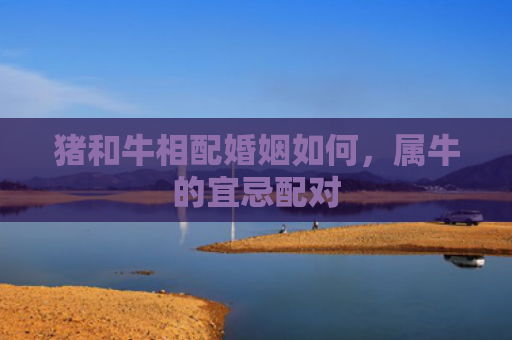 猪和牛相配婚姻如何，属牛的宜忌配对