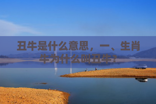 丑牛是什么意思，一、生肖牛为什么叫丑牛？