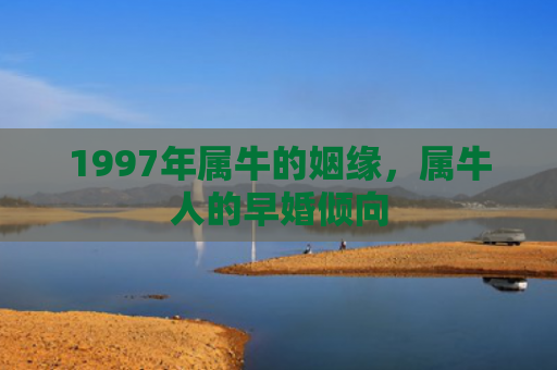 1997年属牛的姻缘，属牛人的早婚倾向