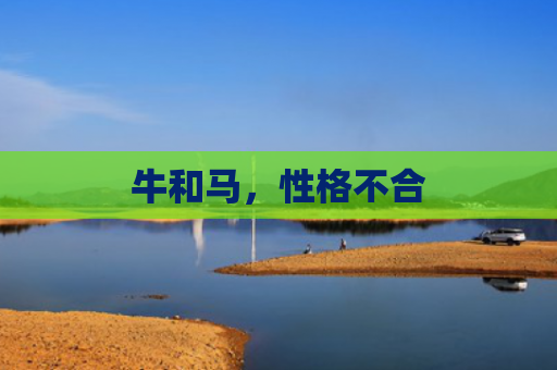 牛和马，性格不合