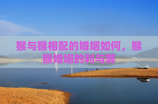 猴与猴相配的婚姻如何，猴猴婚姻的利与弊