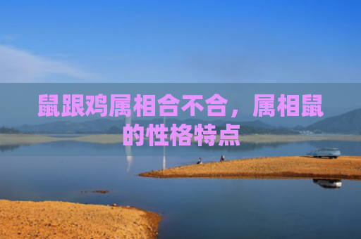 鼠跟鸡属相合不合，属相鼠的性格特点