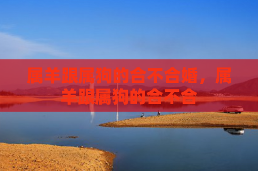 属羊跟属狗的合不合婚，属羊跟属狗的合不合