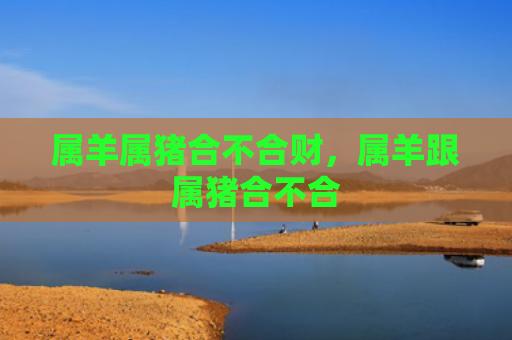 属羊属猪合不合财，属羊跟属猪合不合