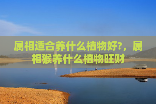 属相适合养什么植物好?，属相猴养什么植物旺财
