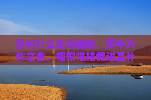 鼠和什么生肖最配，属牛天作之合，相似性格促进互补