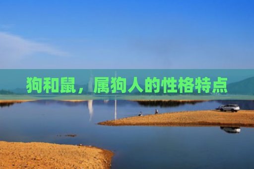狗和鼠，属狗人的性格特点