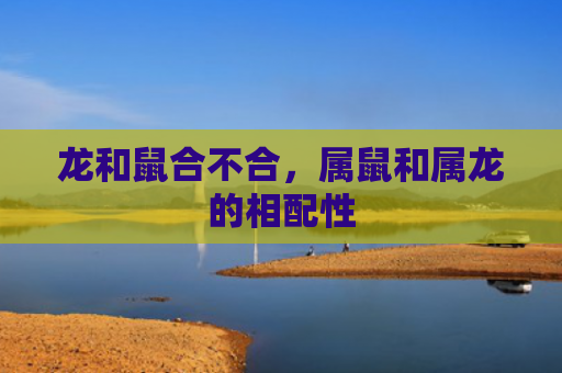 龙和鼠合不合，属鼠和属龙的相配性