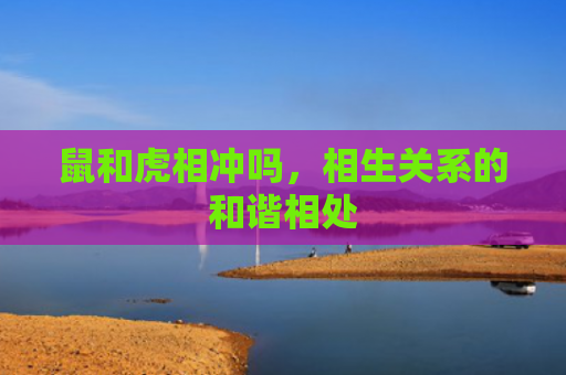 鼠和虎相冲吗，相生关系的和谐相处
