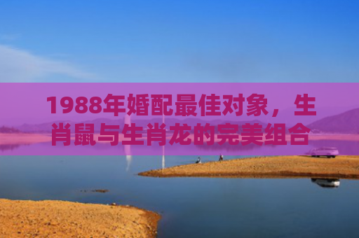 1988年婚配最佳对象，生肖鼠与生肖龙的完美组合