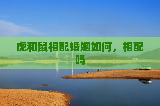 虎和鼠相配婚姻如何，相配吗