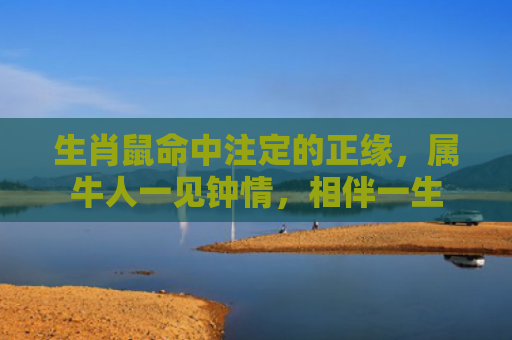 生肖鼠命中注定的正缘，属牛人一见钟情，相伴一生