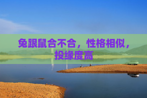 兔跟鼠合不合，性格相似，投缘度高