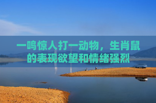 一鸣惊人打一动物，生肖鼠的表现欲望和情绪强烈