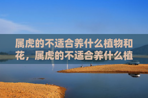 属虎的不适合养什么植物和花，属虎的不适合养什么植物
