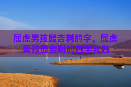 属虎男孩最吉利的字，属虎男孩最吉利的名字乳名