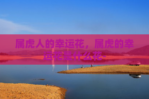 属虎人的幸运花，属虎的幸运花是什么花-