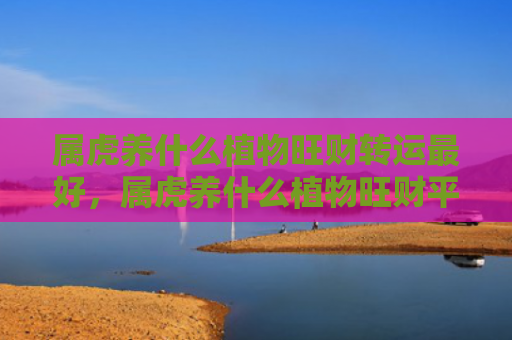 属虎养什么植物旺财转运最好，属虎养什么植物旺财平安