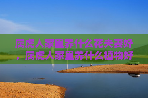 属虎人家里养什么花夫妻好，属虎人家里养什么植物好呢