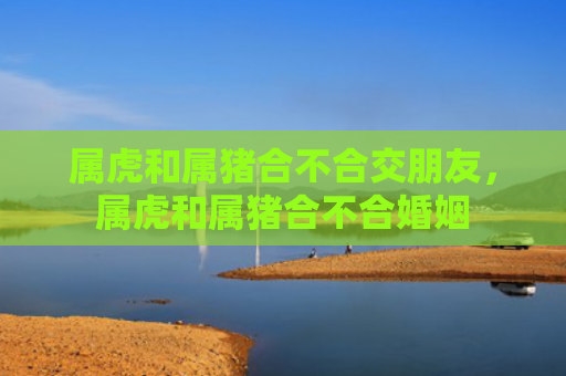 属虎和属猪合不合交朋友，属虎和属猪合不合婚姻
