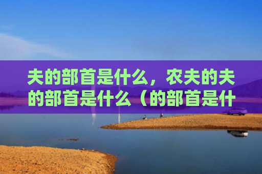 夫的部首是什么，农夫的夫的部首是什么（的部首是什么农夫）