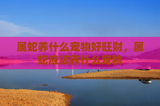属蛇养什么宠物好旺财，属蛇应该养什么宠物