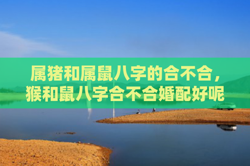 属猪和属鼠八字的合不合，猴和鼠八字合不合婚配好呢女生