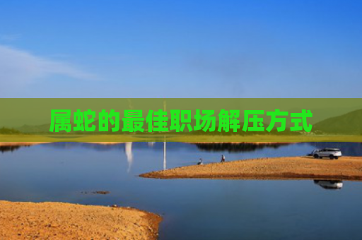 属蛇的最佳职场解压方式