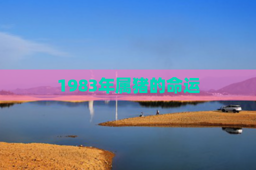 1983年属猪的命运