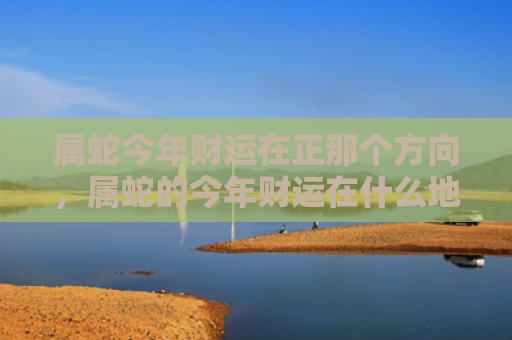 属蛇今年财运在正那个方向，属蛇的今年财运在什么地方