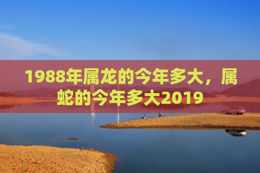 1988年属龙的今年多大，属蛇的今年多大2019