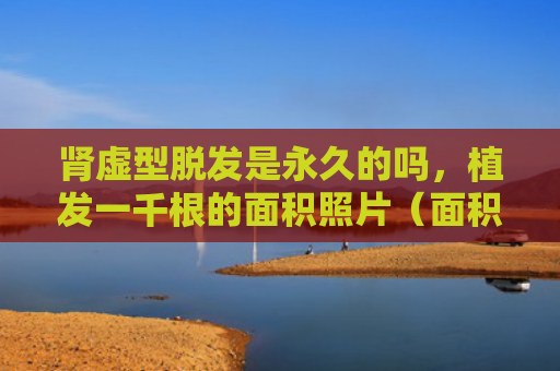 肾虚型脱发是永久的吗，植发一千根的面积照片（面积肾虚永久）