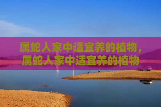 属蛇人家中适宜养的植物，属蛇人家中适宜养的植物