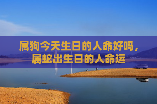 属狗今天生日的人命好吗，属蛇出生日的人命运
