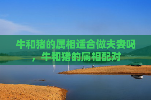 牛和猪的属相适合做夫妻吗，牛和猪的属相配对