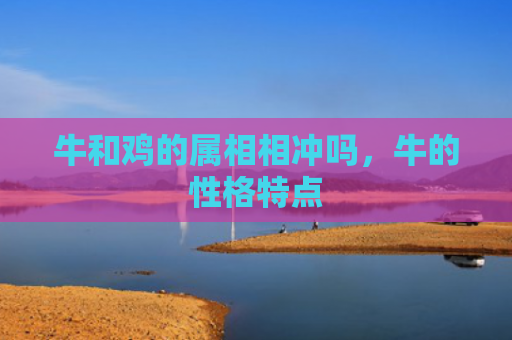 牛和鸡的属相相冲吗，牛的性格特点