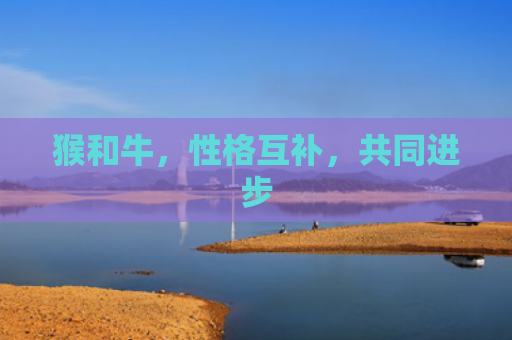 猴和牛，性格互补，共同进步