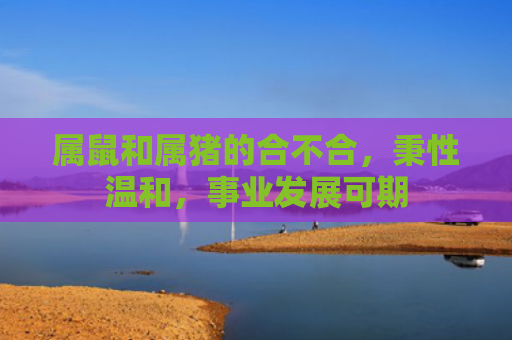 属鼠和属猪的合不合，秉性温和，事业发展可期