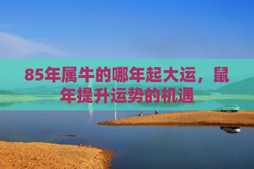 85年属牛的哪年起大运，鼠年提升运势的机遇