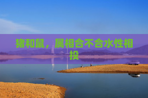 猪和鼠，属相合不合水性相投