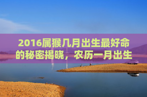 2016属猴几月出生最好命的秘密揭晓，农历一月出生的属猴人好命